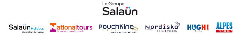 logo Groupe Salaun