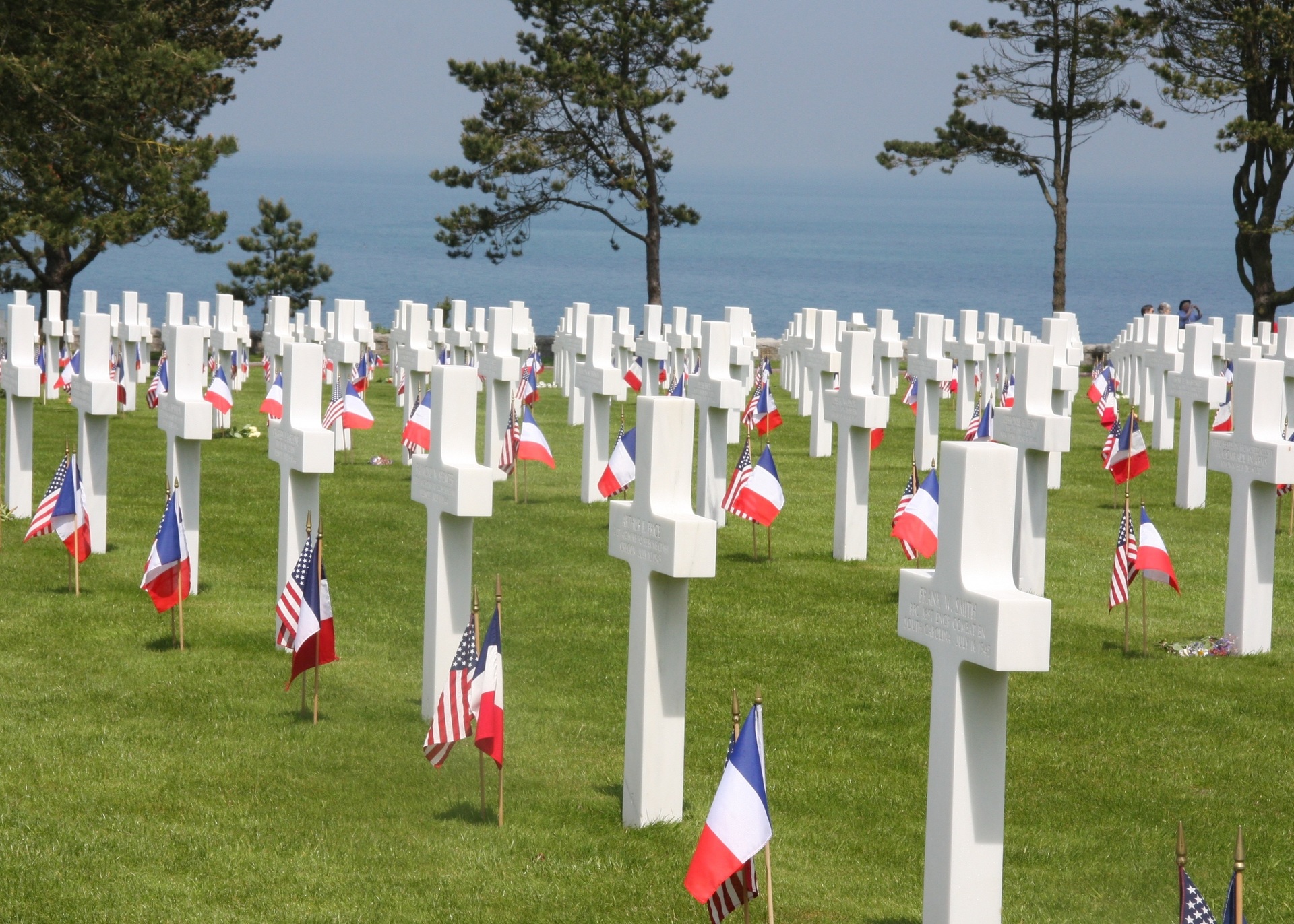 Programmation culturelle et pédagogique