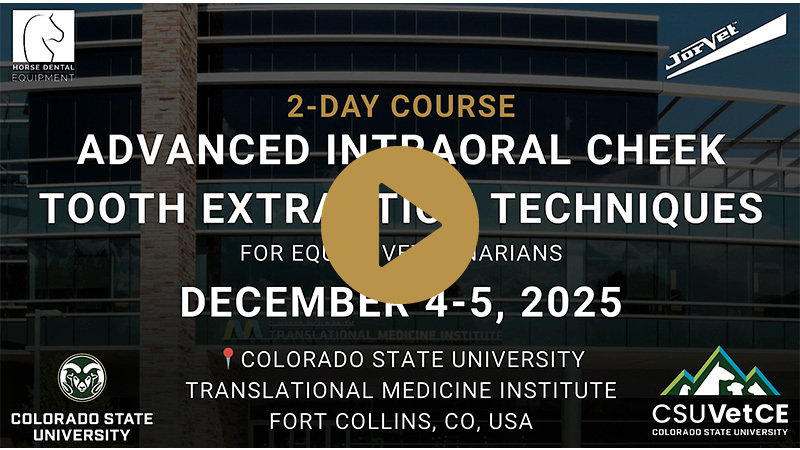 2-Day Course - Advanced Intraoral Cheek Tooth Extraction Techniques - December 4th & 5th, 2025 - Fort Collins, CO