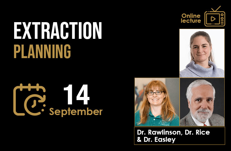 Online lecture 1 - Extraction Planning