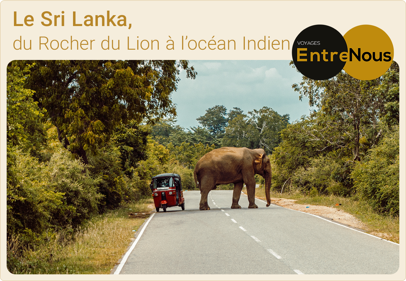 Le Sri Lanka, du Rocher du Lion à l'océan Indien. Voyages 