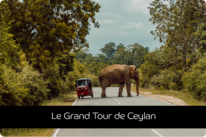 Le Grand Tour de Ceylan